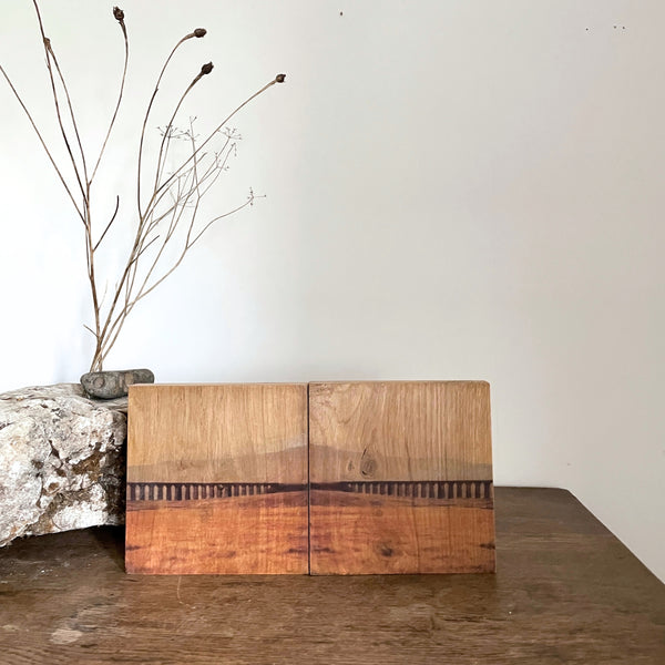 From Here to Always side by side original nature art rooted in landscapes for earth toned serene walls in homes and spaces
